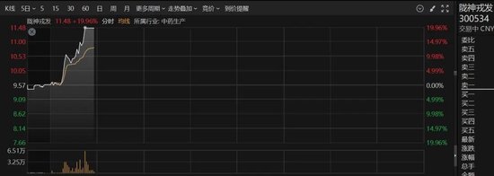 专业股票配资与投资服务 直线拉升20%涨停！这个板块，突然集体爆发